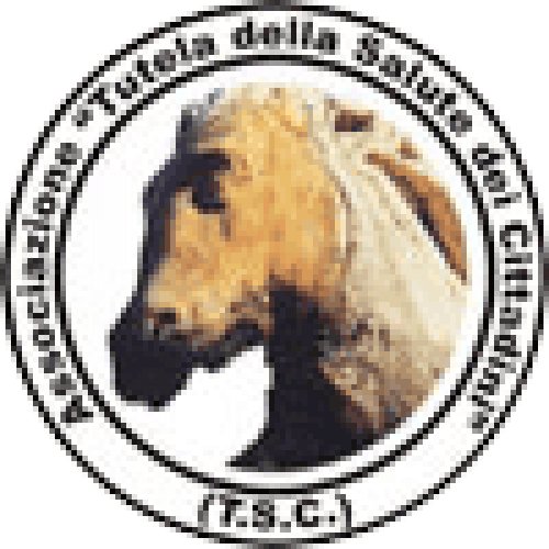 Foto dell'associazione